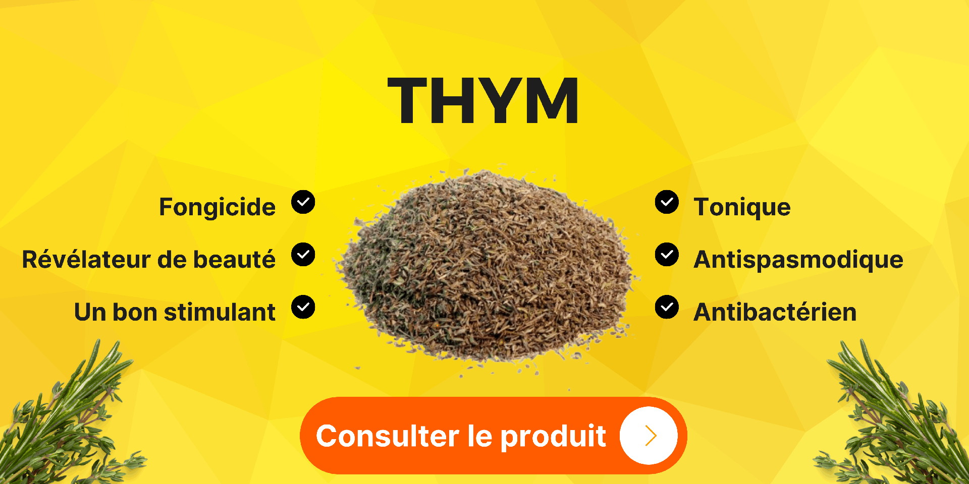 Le Thym - Bienfaits, Préparation, Associations, Interactions