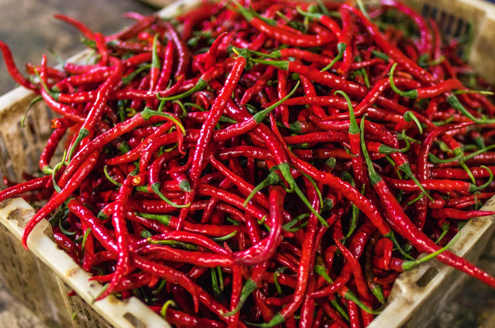 Piment le plus fort du monde: classement des 3 piments les plus forts selon  Scoville