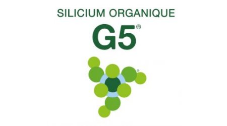 G5