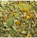 Tisane Arrêt du tabac