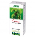 Suc de plantes Bio Ginkgo - flacon 200 ml