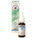 Orme / Elm sans alcool Bio - granules 10 ml