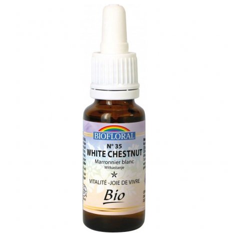 Marronnier Blanc / White Chestnut sans alcool Bio - granules 10 ml