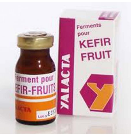 Kéfir de fruits - 4 g