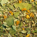 Tisane Articulations