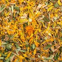 Tisane des lendemains de soirée