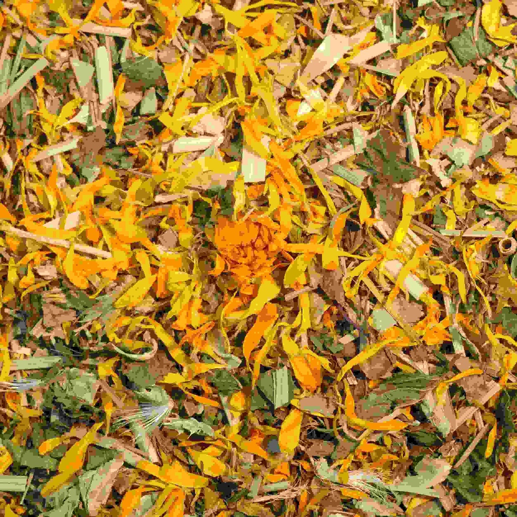 Tisane Lendemains de soirées