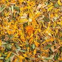 Tisane Lendemains de soirées