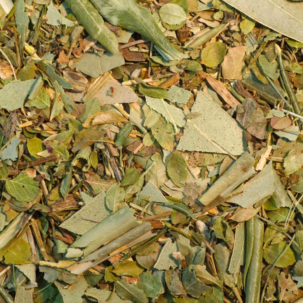 Tisane Regulation des sucres