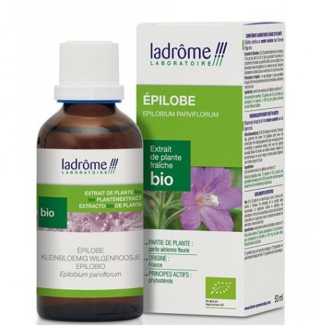 Epilobe Extrait de plante fraîche Bio - 50 ml