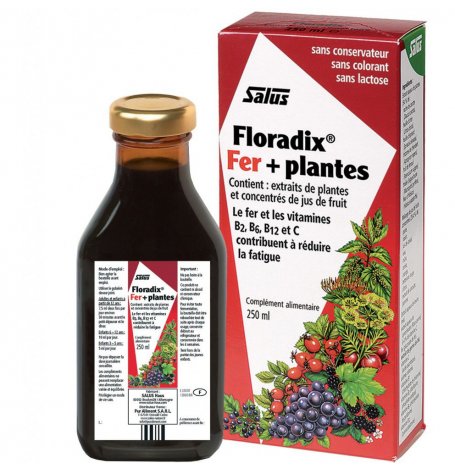 Floradix fer + plantes - 84 comprimés