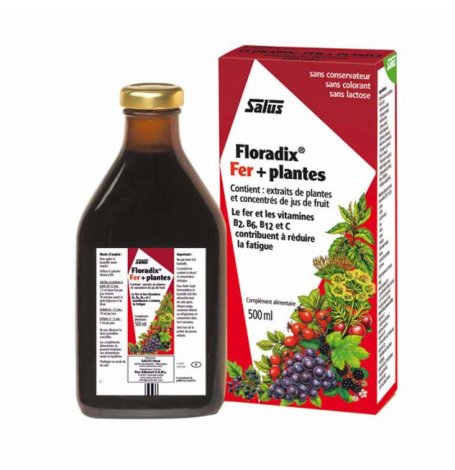Floradix fer + plantes - flacon 500 ml
