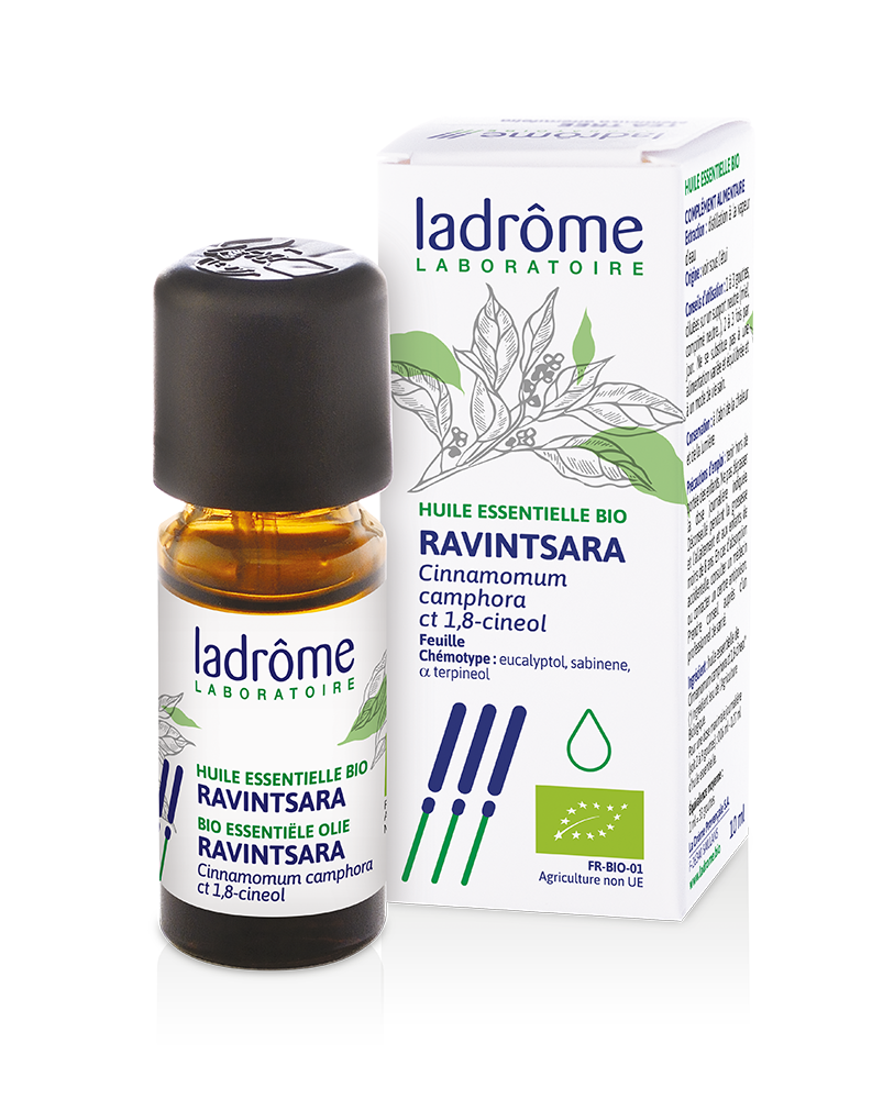 Huile essentielle Ravintsara Bio Ladrome - 10 ml