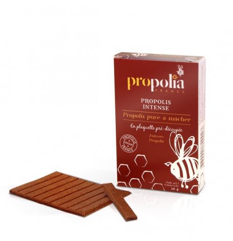 Propolis pure à macher - plaquette 10 g