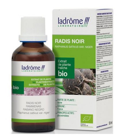 Radis noir Extrait de plante fraîche Bio - 50 ml