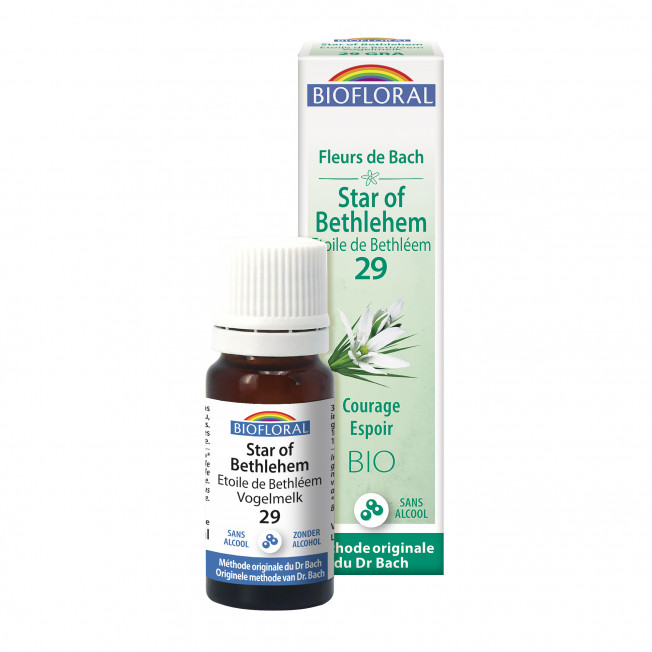 Star of Bethlehem sans alcool Bio - granules