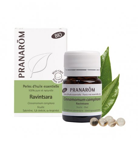 Perles de Ravintsara Bio - 60 perles