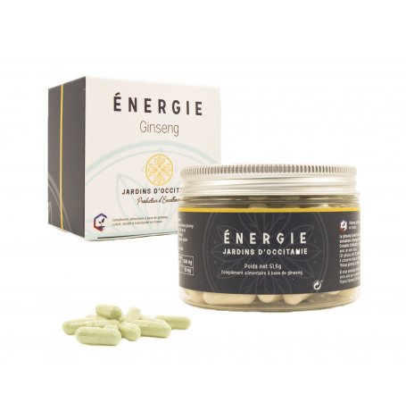 Energie Ginseng - 120 gélules