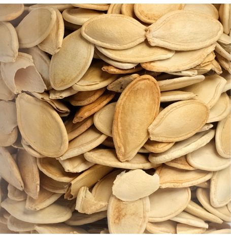 Semences de Courges en mélange Bio - 20 graines