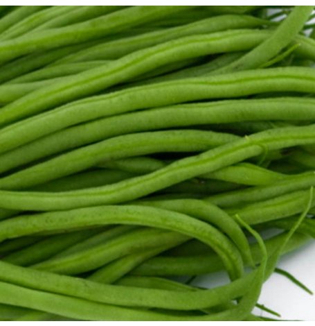 Semences de Haricot Bio - Sachet de 80 grammes