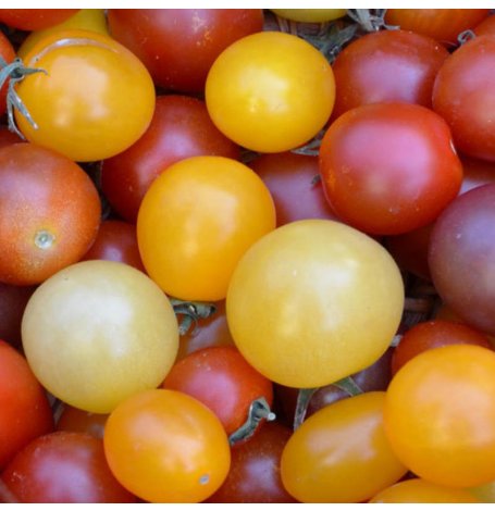 Semences de Tomates en mélange à petits fruits Bio - Sachet de 60 graines