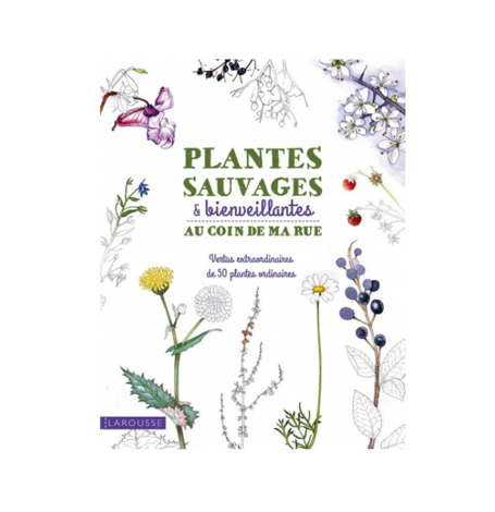 Livre Plantes sauvages et bienveillantes au coin de ma rue