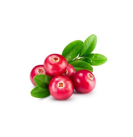 Canneberge - fruit