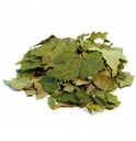 Cassis - feuille
