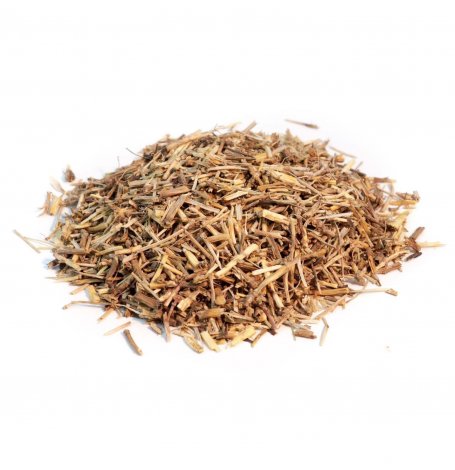 Chiendent officinal rhizome -