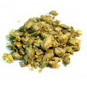 Houblon - cône