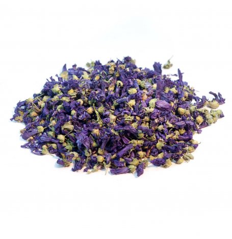 Mauve - fleur