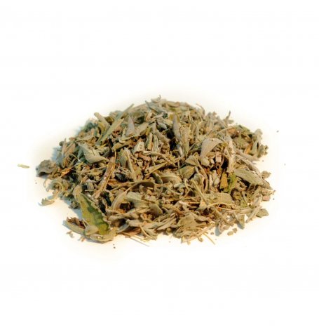 Sauge officinale - feuille