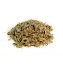 Sauge officinale - feuille