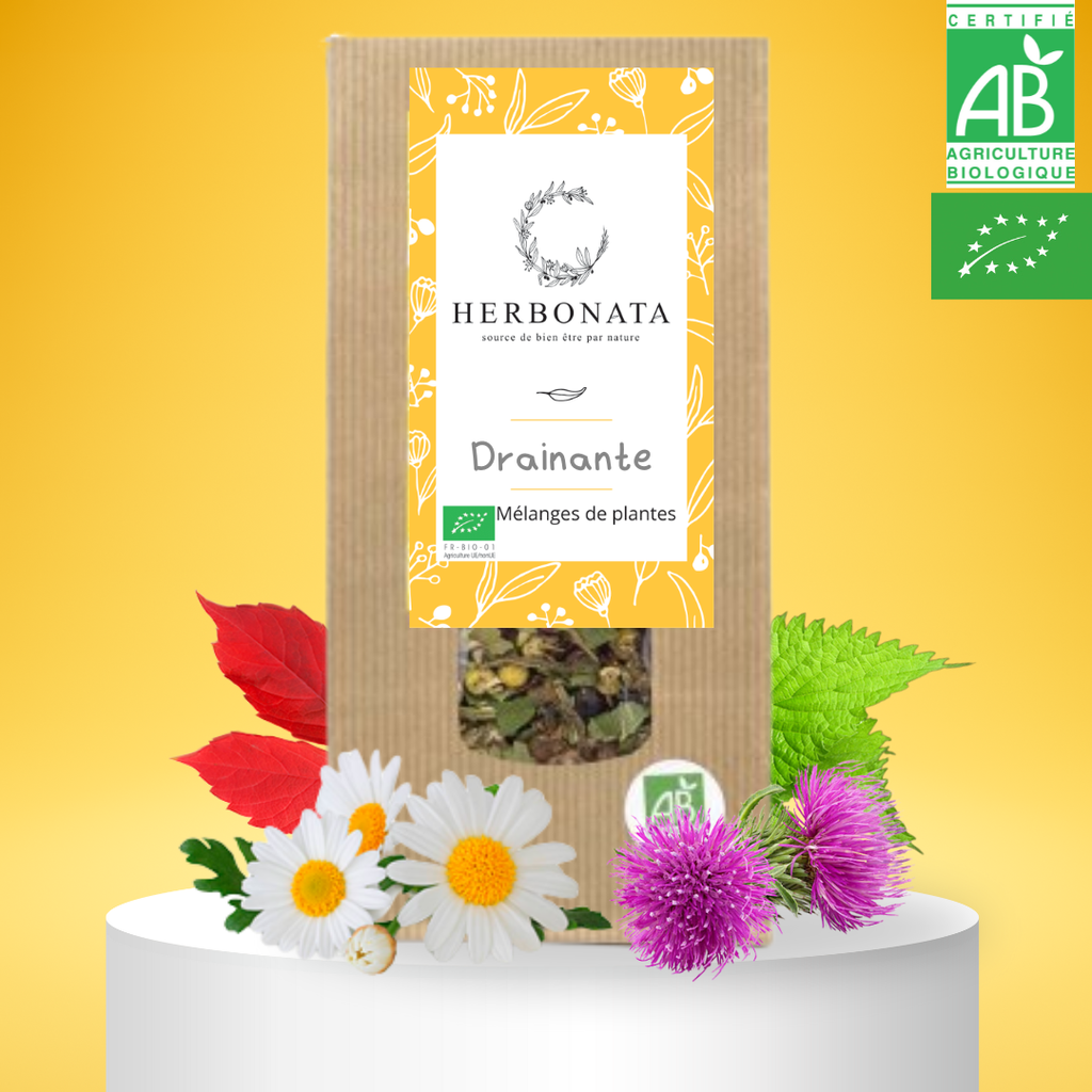 Tisane Drainante