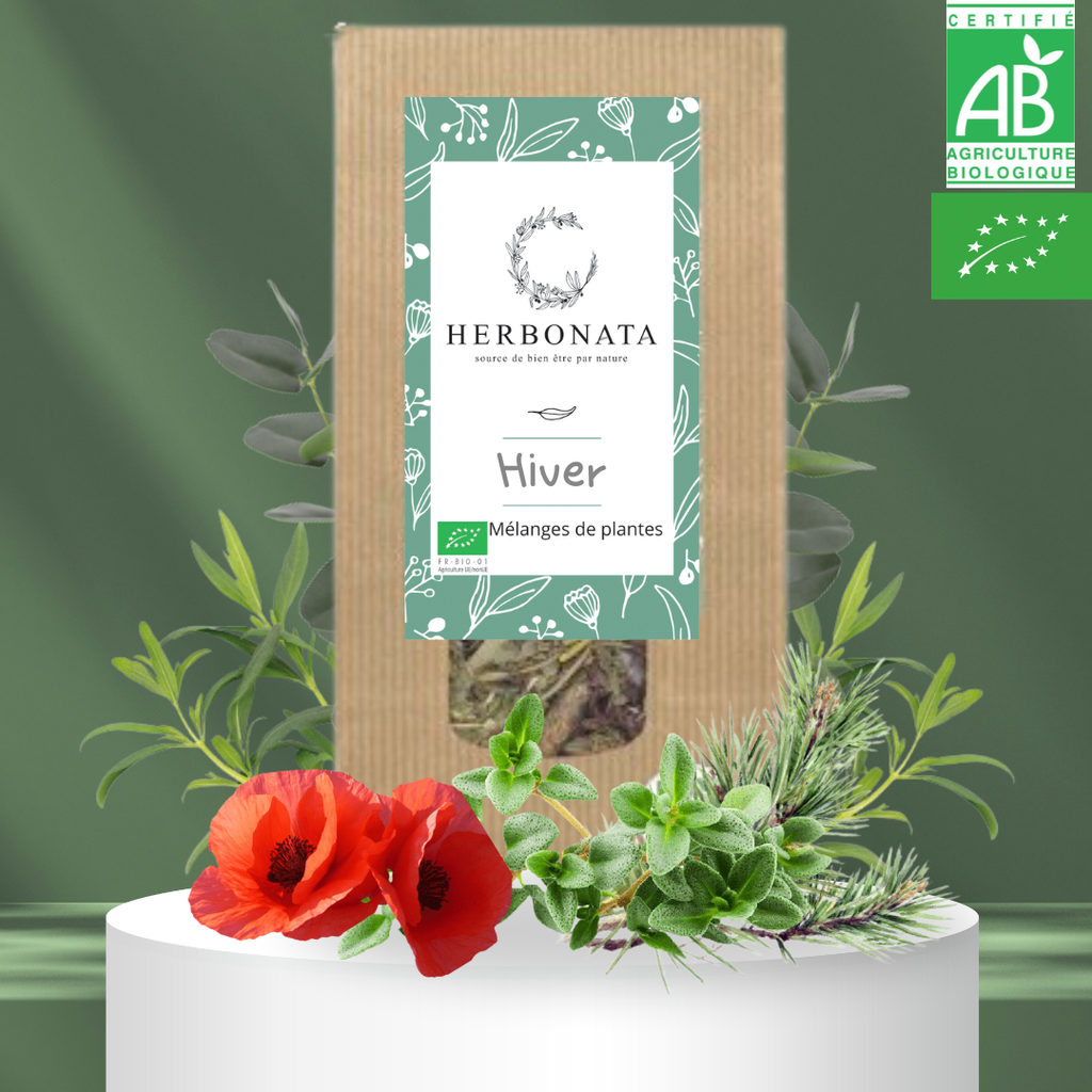Tisane Hiver