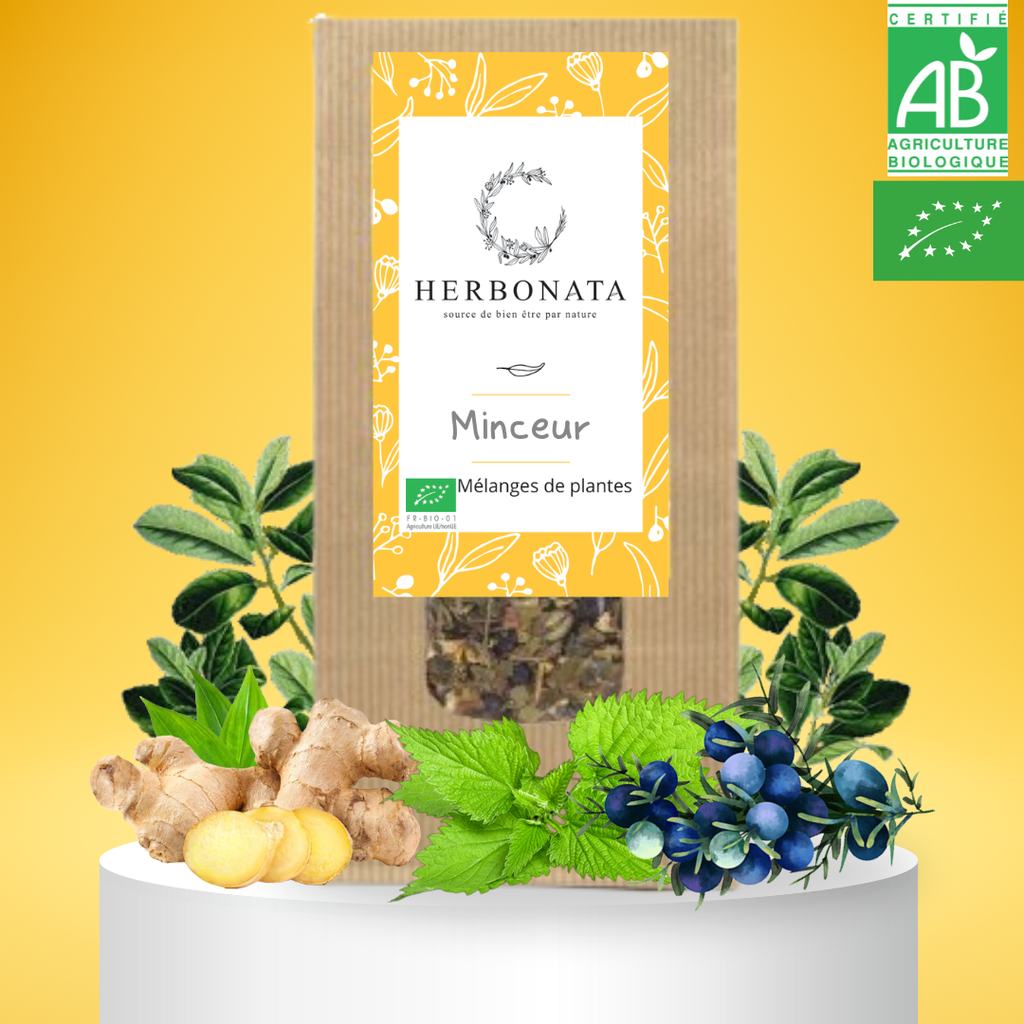 Tisane Minceur