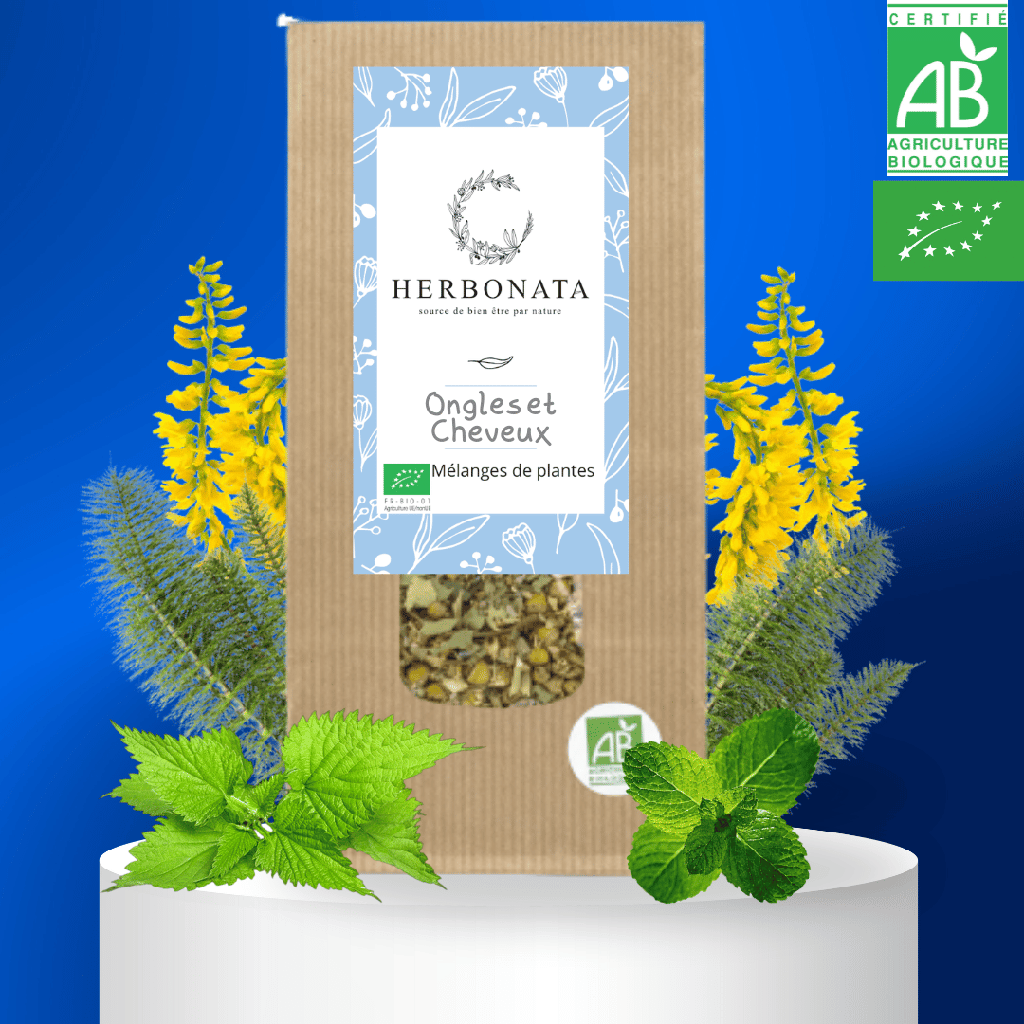 Tisane Ongles - Cheveux