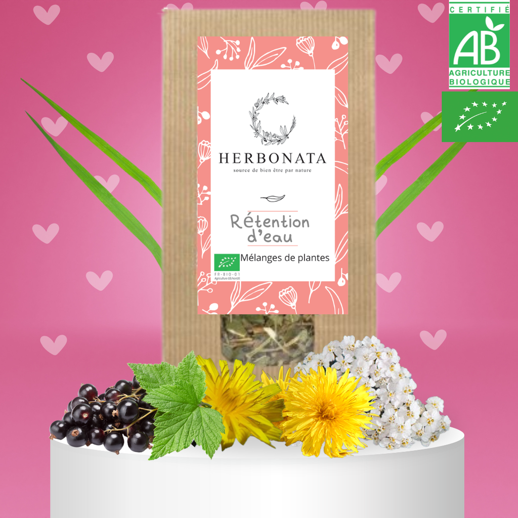 Tisane Retention d'eau
