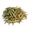 Verveine odorante/citronnée - Grande feuille entière