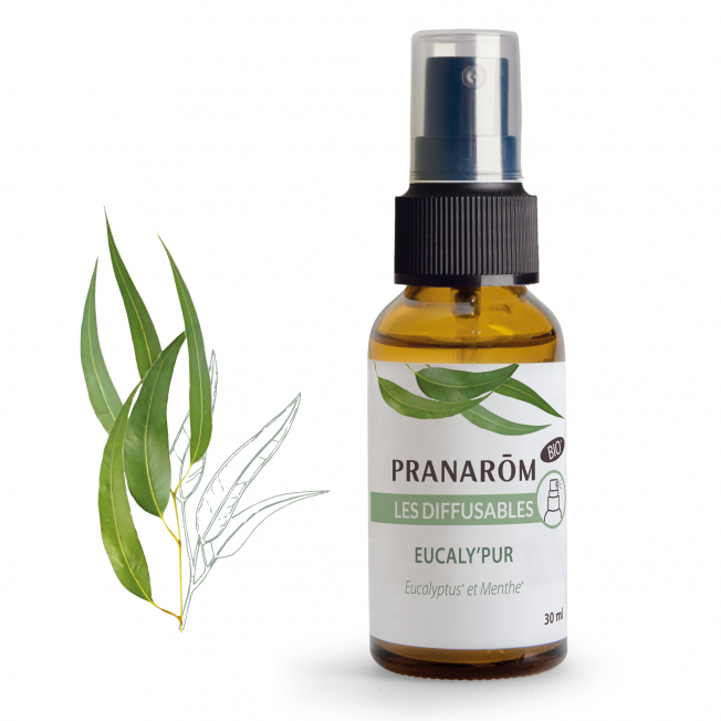 SPRAY EUCALY'PUR BIO - 30 ML