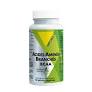ACIDES AMINES BRANCHES - 90 gélules végétales