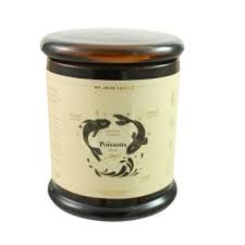 Bougie Astrale Poisson