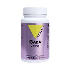 Gaba -100 gélules végétales