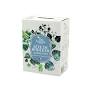 Sève de Bouleau Fée Nature - 5 L