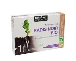 Radis noir bio - 20 ampoules