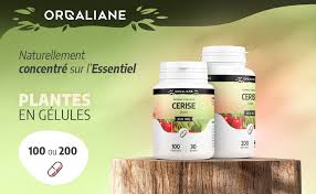 Queue de Cerise - 100 gélules