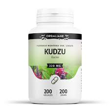 Kudzu - 100 gélules