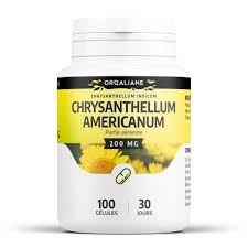 Chrysanthellum americanum - 100 gélules