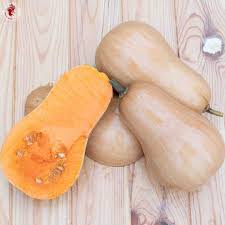 Semence Courge moschata Sucrine du Berry Bio - 12 graines