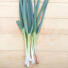 Ciboule du Japon Red Beard - sachet 1 gramme